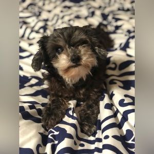 Hi I’m Charese. Thank you for looking in my closet.